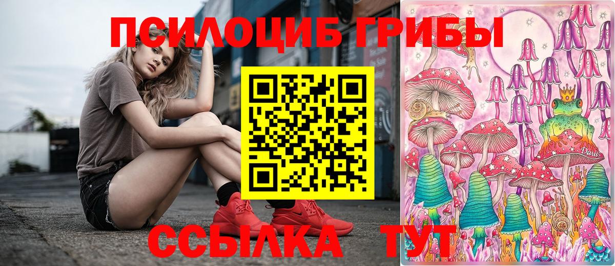 Псилоцибиновые грибы мицелий  Полевской 