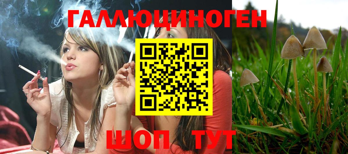 Галлюциногенные грибы MAGIC MUSHROOMS  Псилоцибиновые грибы Psilocybine cubensis  Полевской  Вход с VPN 